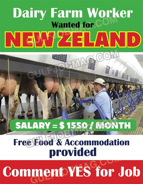 Dairy Farm Worker Urgently Wanted In Newzealand Gulf Job Mag