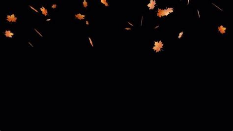 Falling Leaves Overlay Stock Video Footage for Free Download