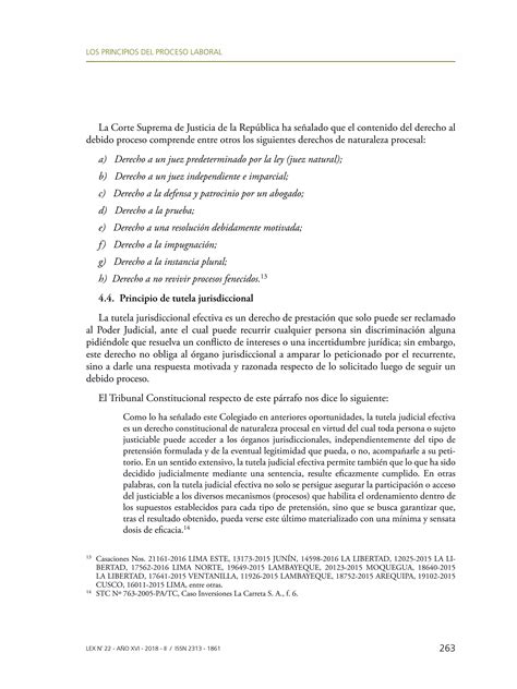 Los Principios Del Proceso Laboral Pdf