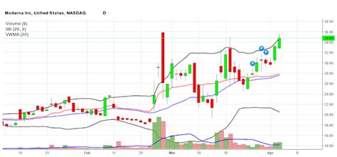 Live Stock Charts