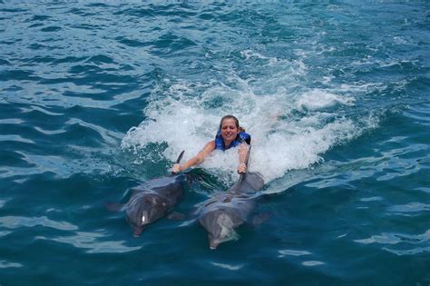 Nado Con Delfines En Isla Mujeres Una Gran Experiencia Mexico Real