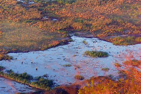 Costa Rica Posee 12 Humedales De Importancia Mundial La Nación