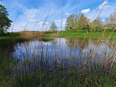 Het Belang Van Biodiversiteit Zutphen