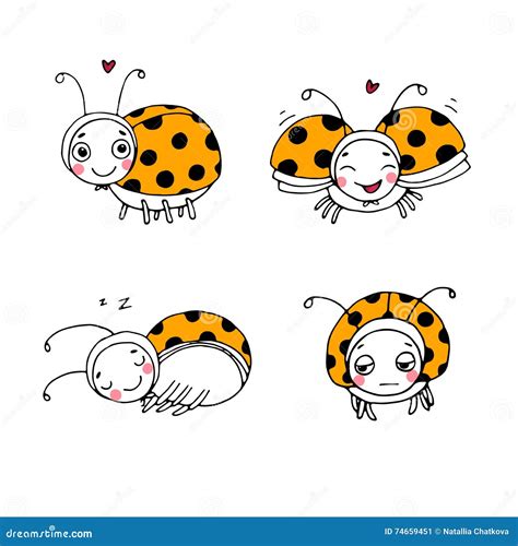 Set Of Ladybugs Stock Vector Illustration Of Insect