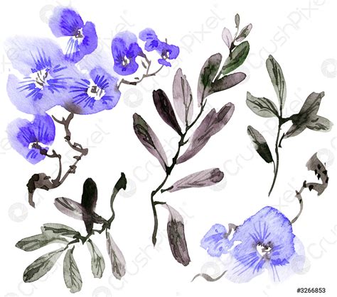 Watercolor flowers and leaves - stock photo 3266853 | Crushpixel