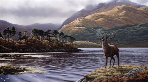 Eric Wilson Wildlife Artist Gallery Slideshow Wildlife
