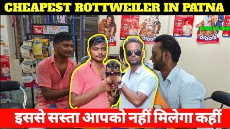 Pet Shop In Jamalpur Munger पटन म सबस ससत पट शप Patna Ka