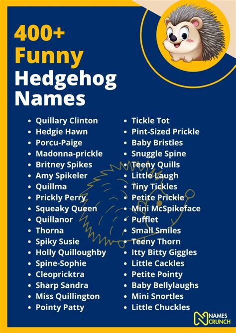 400+ Funny Hedgehog Names (Hilariously Cute) - Names Crunch