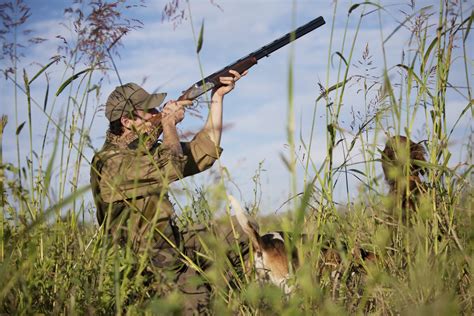 Isère Ouverture de la chasse cinq choses à savoir sur les