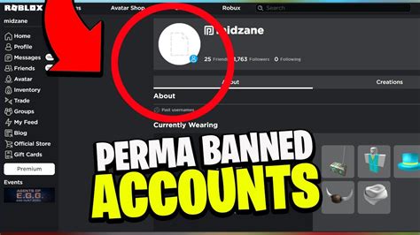 The Top Perma Banned Roblox Accounts Ever Youtube