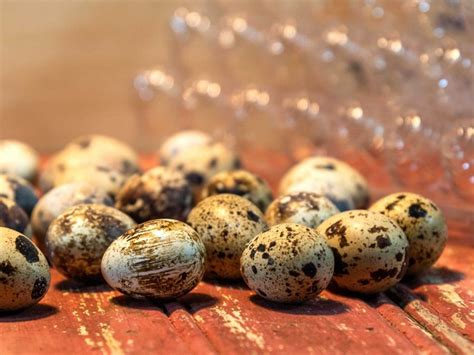 Perfect Quail Eggs How To Boil And Peel Quail Eggs