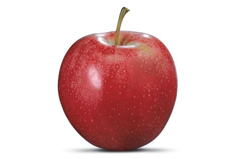 A Guide To 12 Apple Varieties And What They Are Good For