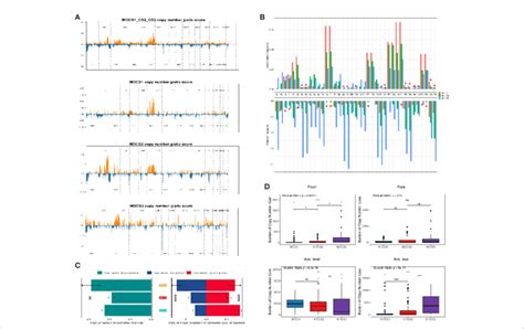 Landscapes Of Copy Number Variations A Comparison Of Overall Copy