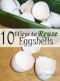 10 Ways To Reuse Eggshells Around Your House Artofit