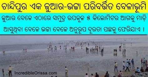 Chandipur beach of Odisha is hide and seek beach in India