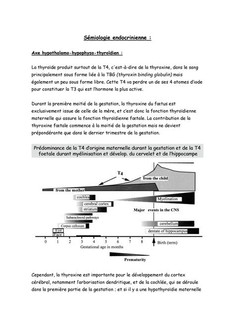 Sémiologie Endocrinienne Sémiologie Générale Unamur Studocu