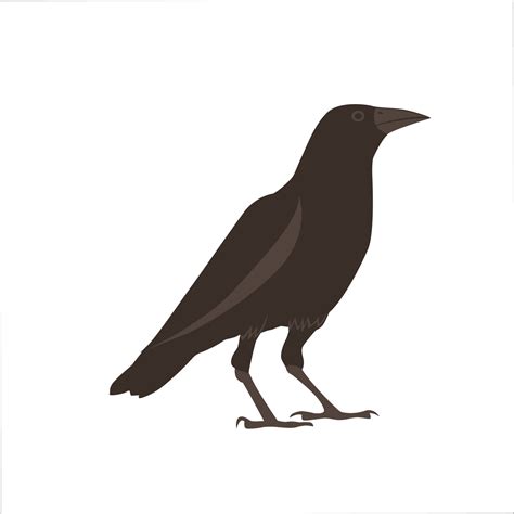 Crow Clipart Drawing