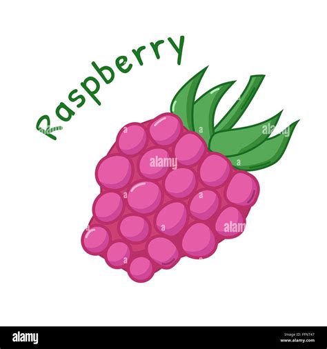 Raspberry Fruit Icon Stock Vector Images Alamy