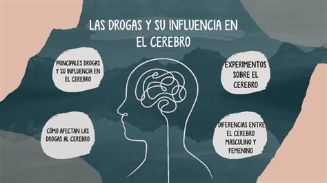 LAS DROGAS Y SU INFLUENCIA EN EL CEREBRO By Elena Castillo Zalve On Prezi