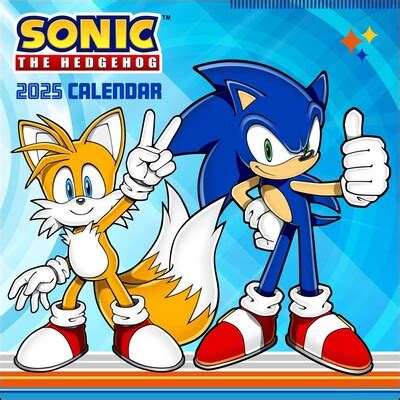 Sonic The Hedgehog Wall Calendar Book Summary Video Official