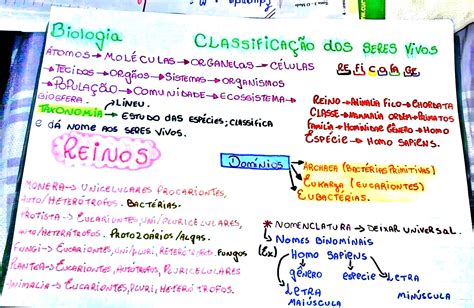 Mapa Mental Seres Vivos Notas De Estudo Biologia