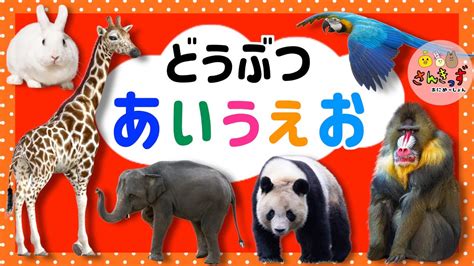 【どうぶつあいうえお】動物園の人気の動物たちが大集合 ひらがなと動物の名前を覚えよう！【子供向け 動物の知育動画】パンダ キリン ぞうさんたち