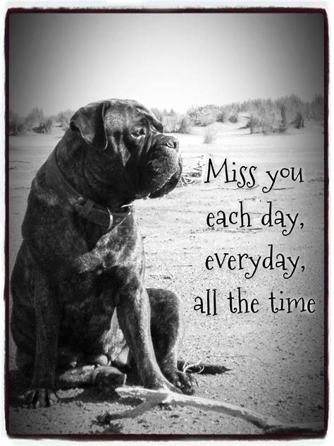 Pin By Lori Brownfield On Things I Love My Love Miss You Animals