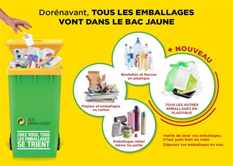 Atelier D Chets Et Recyclage Une Cigale Dans La Fourmili Re