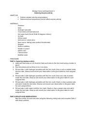 Enzyme Activity Sydney Docx Biology Home Lab Experiment Exploring