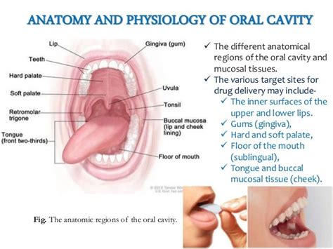 Buccal Film