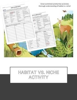 Habitat vs. Niche Worksheet i 2024