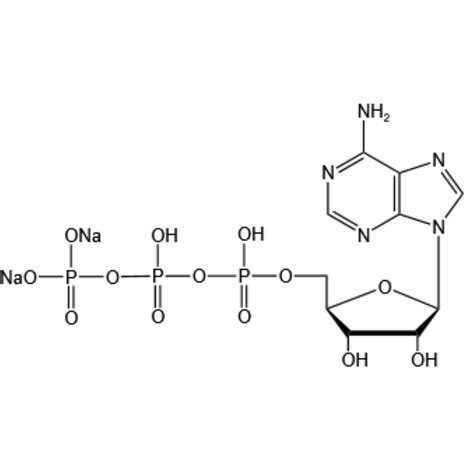 Chemicalbook