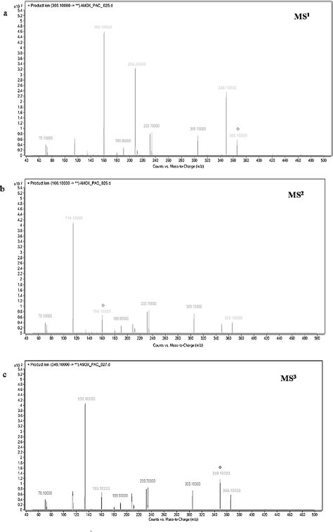 Figure 1 From Pharmacokinetic Study Of Amoxicillin In Human Plasma By