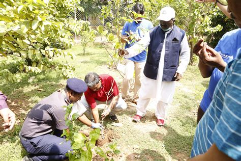 Damooga Foundation Ngo In India Tree Plantation In India Non