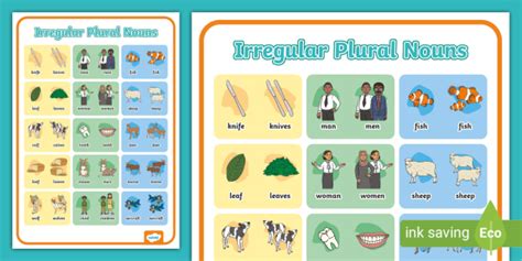 Regular And Irregular Plural Nouns Writing Charts Writing Center Tools