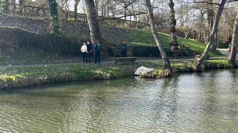 Hallan Un Cadáver Flotando En El Río Nora A La Altura De La Estación