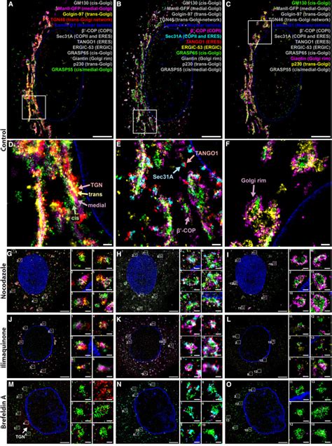 Unraveling Cellular Complexity With Transient Adapters In Highly