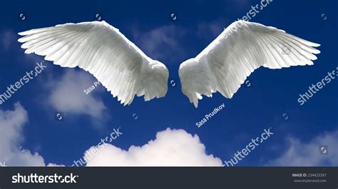 Angel Wings Background Made Sky Clouds Stock Photo 234423397 | Shutterstock