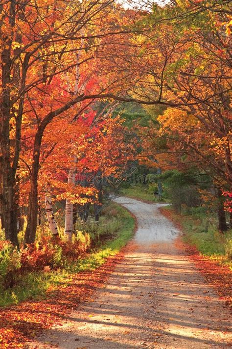 Vermont Countryside Road during Autumn Stock Photo - Image of november ...