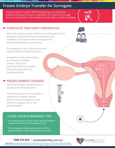 Rainbow FertilityML68 Rainbow Fertility IVF Frozen Embryo Transfer For