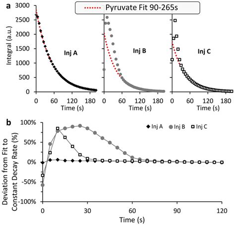 An Analysis Of The Hyperpolarized 1 13 C Pyruvate Signal Decay To