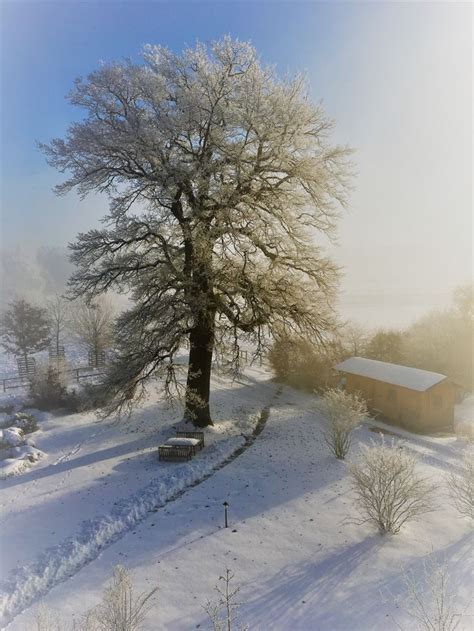 Pin Van Yvette Lust Op Winter