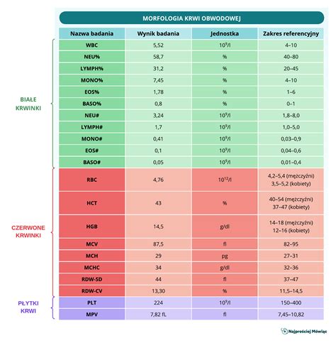 Morfologia Krwi Co Musisz Wiedzie