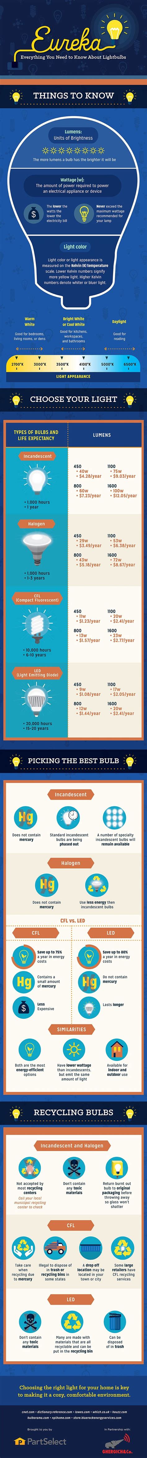 Eureka Everything You Need To Know About Light Bulbs Infographic