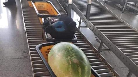 Cè unanguria ai controlli dell aeroporto di Bari ma la foto è di