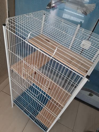 Viveiro Para Sagui Ideal Para Apartamentos Parcelamento Sem Juros