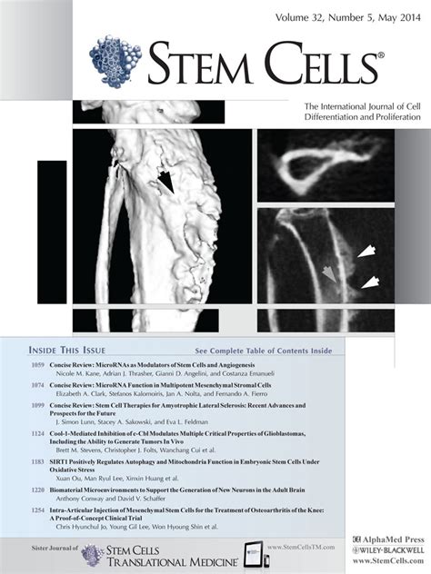 Concise Review: Regulation of Stem Cell Proliferation and ...