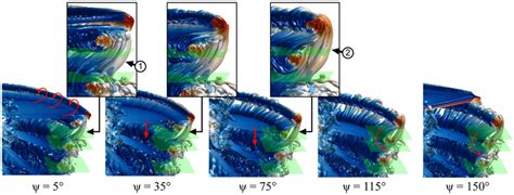 Secondary Vortex Development Process Ranging From Rotor Wake Age