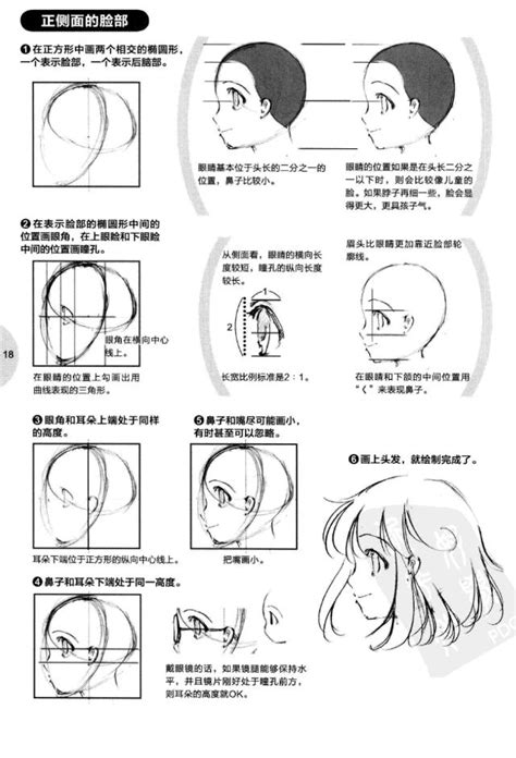 動漫人物臉部的繪製技法，超詳細！適合初學者！ 每日頭條