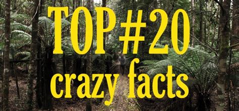 Top 20 Crazy Facts About Australia